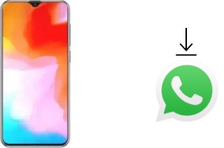 So installieren Sie WhatsApp auf einem Cubot X20 Pro