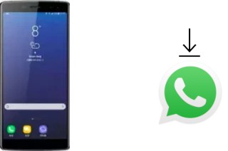 So installieren Sie WhatsApp auf einem Doogee BL12000