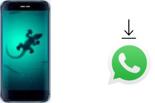 So installieren Sie WhatsApp auf einem Doogee F3 Pro