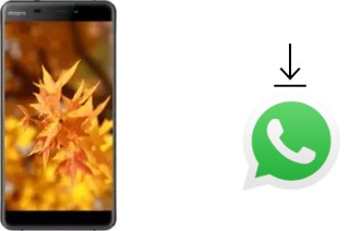 So installieren Sie WhatsApp auf einem Doopro C1 Pro