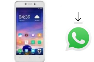 So installieren Sie WhatsApp auf einem Doov V31