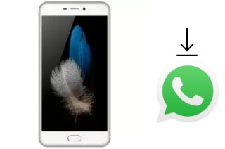 So installieren Sie WhatsApp auf einem Eko Star G50