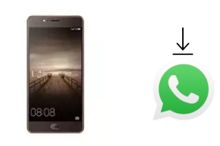 So installieren Sie WhatsApp auf einem Elephone P8 Mini