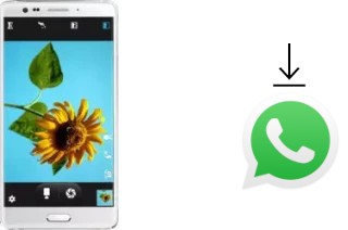 So installieren Sie WhatsApp auf einem Elephone P8 Pro