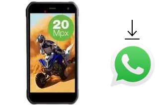 So installieren Sie WhatsApp auf einem Evolveo StrongPhone G8