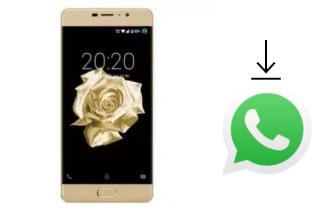 So installieren Sie WhatsApp auf einem Fero Royale X2