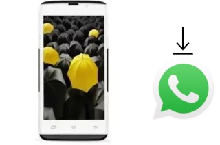 So installieren Sie WhatsApp auf einem Genx E1