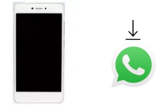 So installieren Sie WhatsApp auf einem Gionee F100