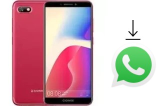 So installieren Sie WhatsApp auf einem Gionee F205 Pro