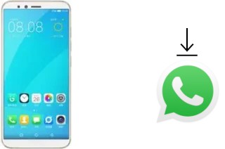 So installieren Sie WhatsApp auf einem Gionee F6