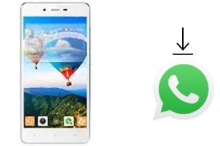 So installieren Sie WhatsApp auf einem Gionee Marathon M3