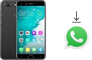 So installieren Sie WhatsApp auf einem Gionee S10