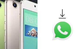 So installieren Sie WhatsApp auf einem Gionee S10C