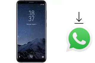 So installieren Sie WhatsApp auf einem HomTom R17