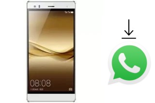 So installieren Sie WhatsApp auf einem Hotwav Cosmos V5