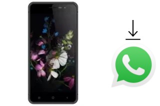 So installieren Sie WhatsApp auf einem Hotwav Cosmos V811