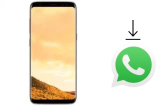 So installieren Sie WhatsApp auf einem Hotwav I8009