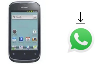 So installieren Sie WhatsApp auf einem Huawei Ascend Y