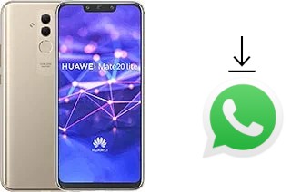 So installieren Sie WhatsApp auf einem Huawei Mate 20 lite