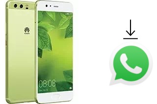 So installieren Sie WhatsApp auf einem Huawei P10 Plus