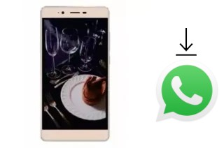 So installieren Sie WhatsApp auf einem Iku Zeus Z55I