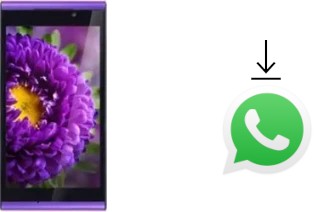 So installieren Sie WhatsApp auf einem InFocus M310 Charm Purple