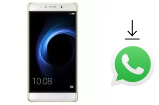 So installieren Sie WhatsApp auf einem Infone Extreme Maxi