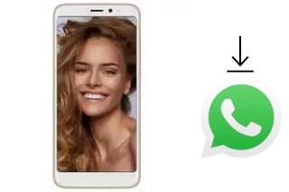 So installieren Sie WhatsApp auf einem Inoi 6i Lite