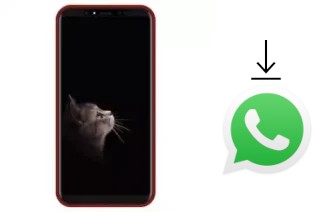 So installieren Sie WhatsApp auf einem Inovo I481