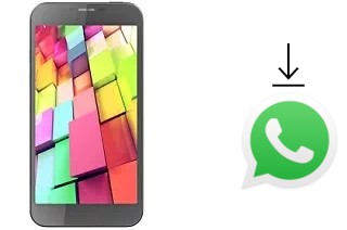 So installieren Sie WhatsApp auf einem Intex Aqua 4G+