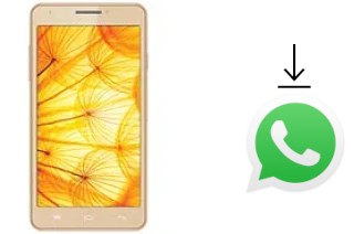 So installieren Sie WhatsApp auf einem Intex Aqua Xtreme II