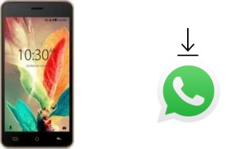 So installieren Sie WhatsApp auf einem Karbonn K9 Smart Eco