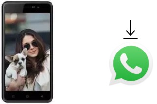 So installieren Sie WhatsApp auf einem Karbonn K9 Smart Selfie