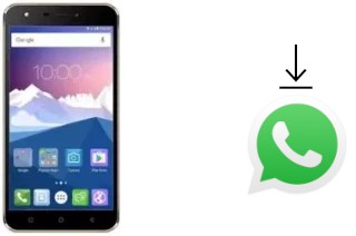 So installieren Sie WhatsApp auf einem Karbonn K9 Viraat 4G