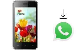 So installieren Sie WhatsApp auf einem KENEKSI Flora