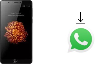 So installieren Sie WhatsApp auf einem Kenxinda V9