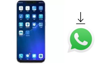 So installieren Sie WhatsApp auf einem Koobee F2 Plus