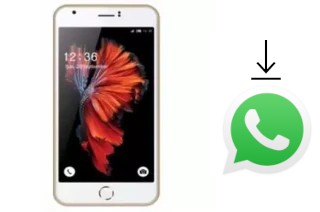 So installieren Sie WhatsApp auf einem L-Max Ester 1