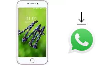 So installieren Sie WhatsApp auf einem L-Max Mega Plus 1