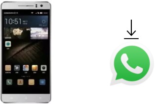 So installieren Sie WhatsApp auf einem Landvo L600 Pro