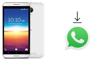 So installieren Sie WhatsApp auf einem Lava A67