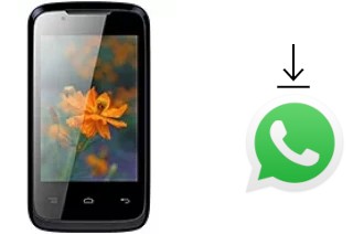 So installieren Sie WhatsApp auf einem Lava Iris 356