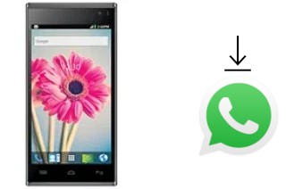 So installieren Sie WhatsApp auf einem Lava Iris 504q+