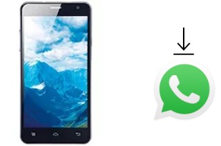 So installieren Sie WhatsApp auf einem Lava Iris 550Q