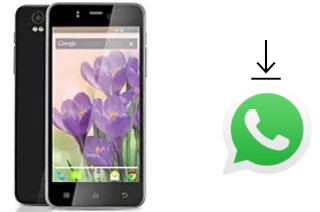 So installieren Sie WhatsApp auf einem Lava Iris Pro 30+