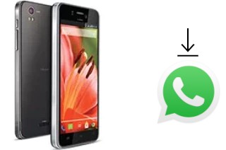 So installieren Sie WhatsApp auf einem Lava Iris Pro 30