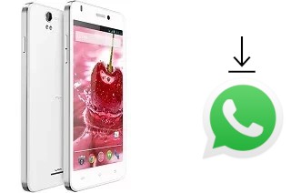 So installieren Sie WhatsApp auf einem Lava Iris X1 Grand