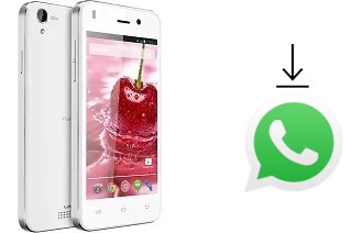 So installieren Sie WhatsApp auf einem Lava Iris X1 mini