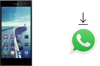 So installieren Sie WhatsApp auf einem Leagoo Lead 1