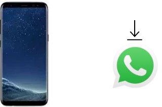 So installieren Sie WhatsApp auf einem Leagoo S8